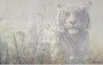John Seerey-Lester art print