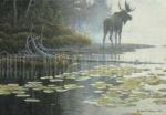 Robert Bateman art print