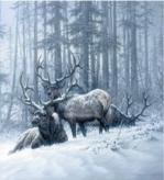 Larry Fanning art print