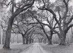 Orah Moore art print