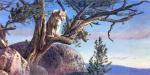 Kalon Baughan art print