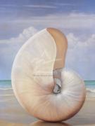 David Hwang art print