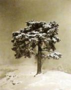 Marcel Bovis art print
