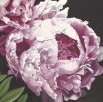 Hellman art print