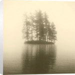 Michael Kahn art print - Pine Tree Island poster