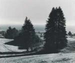 Ansel Adams art print