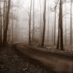 Recollection art print