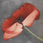 Erin Clark art print