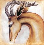 Susan Hartenhoff art print