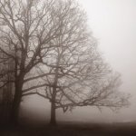 Erin Clark art print
