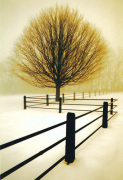 David Lorenz Winston art print