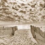 Michael Kahn art print
