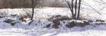 Ray Hendershot art print