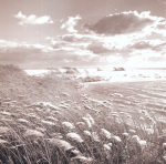 Michael Kahn art print