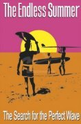 Van Hamersveld art print