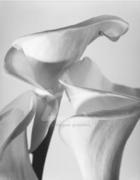 Len Prince art print