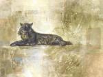 Marta Wiley art print