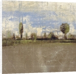 Luis Parra art print - Toscana Pasture poster