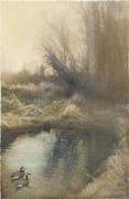 Barbara Kalhor art print
