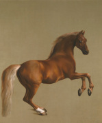 George Stubbs art print