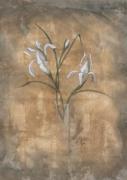 Vicki Wilber art print