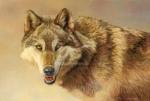 Kalon Baughan art print