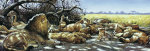 Renato Casaro art print