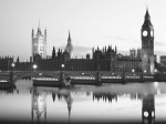 The Monochrome Gallery art print