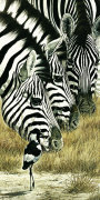 Renato Casaro art print