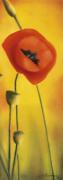 Caroline Wenig art print