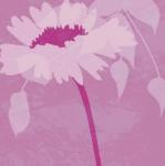 Kate Knight art print