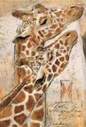 Joadoor art print