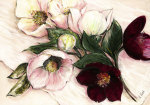 Elisabeth Krobs art print