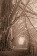 Paul Kozal art print