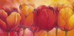 Alicia Sloan art print