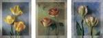 Jim Frankoski art print