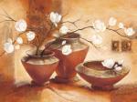 Claudia Ancilotti art print
