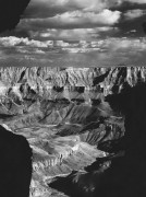 The Monochrome Gallery art print