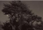 Paul Kozal art print