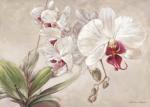 Vivien White art print