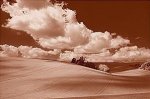 Bill Philip art print