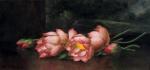 Martin Johnson Heade art print