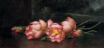 Martin Johnson Heade art print