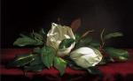Martin Johnson Heade art print