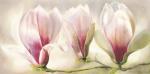 Annemarie Peter-Jaumann art print