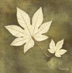 Alexandra Bex art print