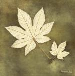 Alexandra Bex art print