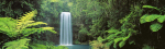 Peter Lik art print