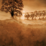 Alan Parker art print