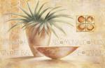 Claudio Ancilotti art print